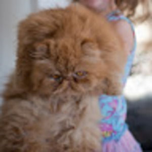 Meet your Posher, Heather